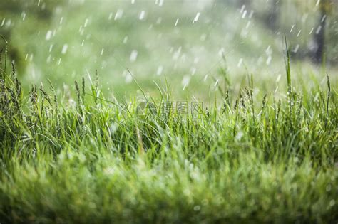 下雨天图片|下雨图片